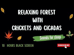10 Hours - Sounds of Crickets, Forest and Cicadas - For Relaxing Sleep