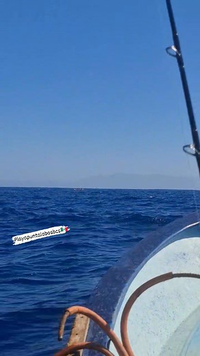 Pesca de Wahoo en las alturas, a 35 millas de tierra firme🤟🏾🌊🐟🎣🦈⚓️🌵🌴🇲🇽 - - - - #wahoo #wahoofish #playa #puntalobos #todossantos #pueblomagico #BajaCaliforniaSur #mexico #pescaartesanal #pesca #seguidores #pescando #pescaamano #fishing #fish #fishinglife #pageviral #fypシ゚viralシfypシ゚ #fypシ゚viralシ #fypviralシ #paratiiiiiiiiiiiiiiiiiiiiiiiiiiiiiii #fypageシ #viralreels | Playa Punta Lobos BCS