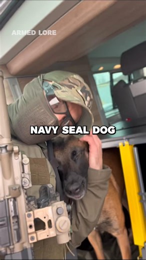 The Truth About SEAL Team Dogs
