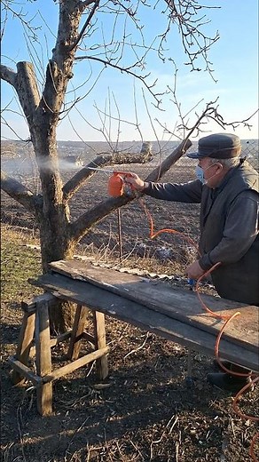 Orchard Maintenance Routine | Spraying Trees for Seasonal Protection #garden #gardening #farmwork