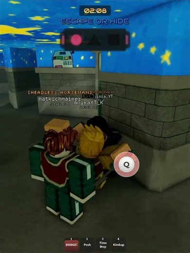 How a Hider Should Play ?