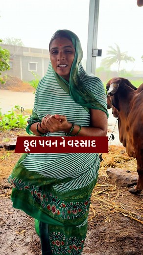પવન સાથે વરસાદ #village #lifestyle #varasad #gujrati #gamdu #femily #villagelife #dakshaahir #femilivlogs | daksha ahir vlogs
