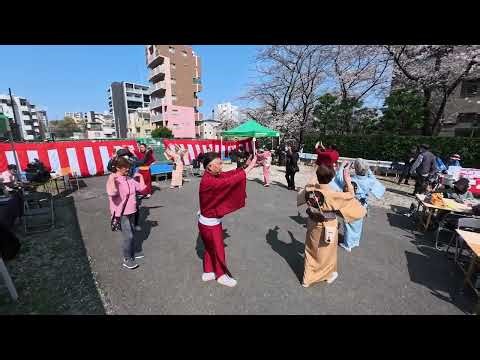 ひろしのさくら音頭（五木ひろし） 早稲田さくらまつり盆踊り２ 2026年3月29日