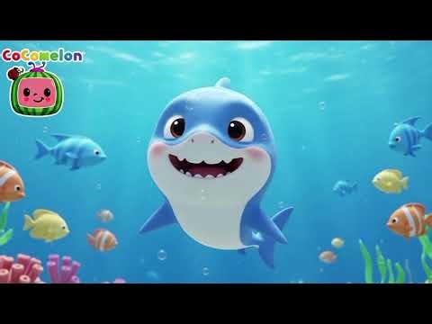 Baby shark extended family