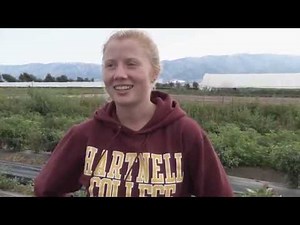 Acres of Ambition: Agriculture + Land-Based Training Assoc for Farming (ALBA) In Salinas California