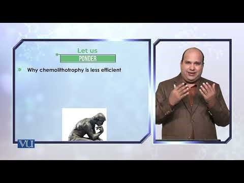 Methanogenesis | Biochemistry II (Theory) | BIO506T_Topic178