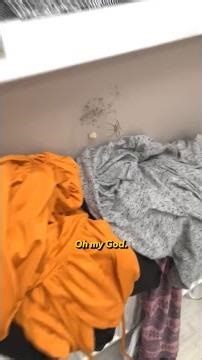 Spiders living rent free in your mind and your house?!🕷️😱