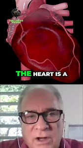 1.9K views · 580 reactions | Skipped beats or irregular rhythm? It’s not always caffeine, alcohol, or stress. According to cardiologist Dr. Thomas Levy, most patients aren’t told that a magnesium deficiency could be the real cause. If your Holter monitor shows extra beats, you might not need drugs—you might need magnesium injections to restore cellular balance, then switch to oral support. Fix the root, not just the symptoms. | Wellnessradar | Facebook