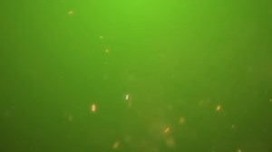 575 reactions · 21 shares | It's Time to Breathe Cricket Live this...