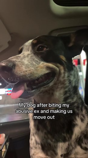 How My Dog Saved My Life in a Dangerous Situation