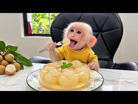 So Delicious! Monkey Bobo Enjoys a Sweet and Refreshing Longan Jelly Treat!