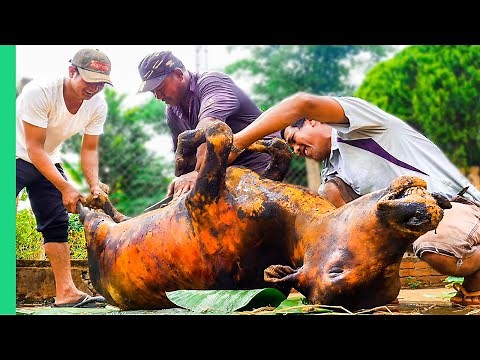 Cooking a WHOLE COW in 4 HOURS!! Vietnam Village Life!!! | Surviving Vietnam Part 5