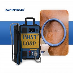Advanced Equine Peak 4500Hz Pemf Therapy Device for Horses