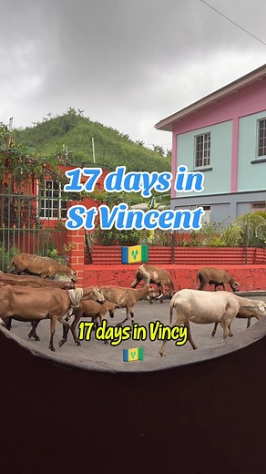 Exploring St. Vincent and the Grenadines in 17 Days