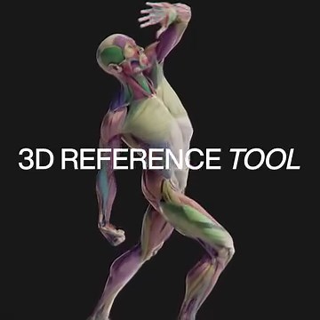 We made 3D REF for two simple reasons: it’s nice to find all the human anatomy references in one place, and it’s super helpful to see them instantly from any angle you wish. We’ve just updated it with new 3D models, so check it out! https://ecorche.anatomy4sculptors.com/ | Anatomy For Sculptors