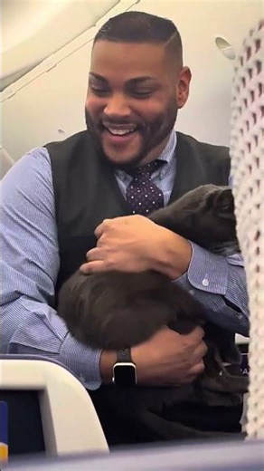 Runaway Kitty Charms Passengers on Thanksgiving Flight