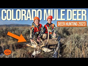 Colorado Mule Deer Hunting 2023
