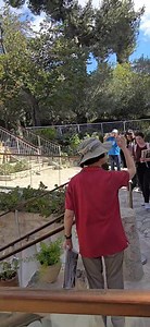 1.8M views · 102K reactions | Bukit Golgota #gardentomb #holylandtour Jolitas TOUR & Travel | Johni Pinaria | Facebook