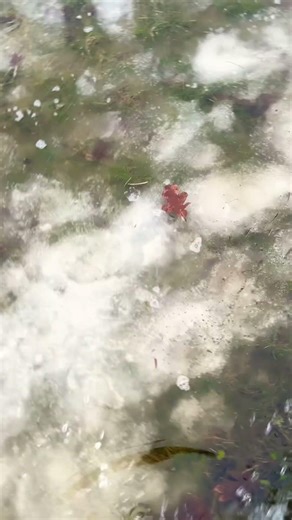 How are you walking in water tutorial ￼