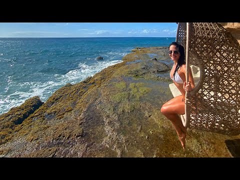 Emily Compagno Biography, Height, Weight, Age, Net Worth, Education, Family, Career, Fashion, Style