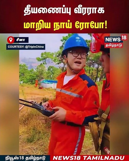 Fire Fighting Dog Robot | தீயணைப்பு வீரராக மாறிய நாய் ரோபோ! | N18G