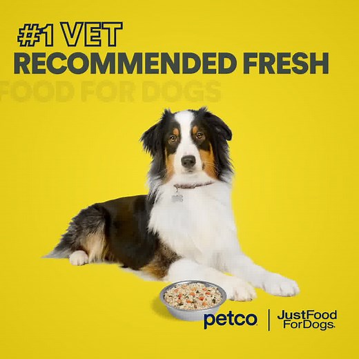 We recommend JustFoodForDogs to support your pet’s whole health. It’s what we’d want if we were pets. | Petco