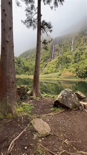 A real life Jurassic park Moment 🌿🦕 Cascata da Ribeira do Ferreiro, Flores Island (Azores) #island