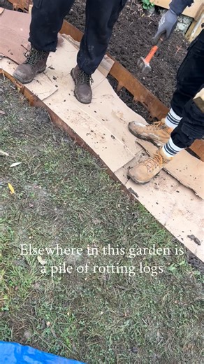 Eco gardening doesn’t have to be all-or-nothing. No huge compost bin? Same. I use the council food bin and recycle but keep things like eggshells, make banana water for the garden, and turn autumn leaves into leaf mould (one of my favourites). I also save cardboard for client paths and gravel gardens. In this garden, reclaimed logs and cardboard were used for paths, seating areas and stepping stones. I planted into the cracks of the existing stone patio and added a planted rockery and planted bo