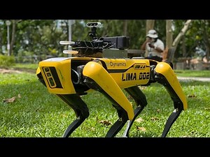 Robot dog reminds park goers about social distancing | Coronavirus