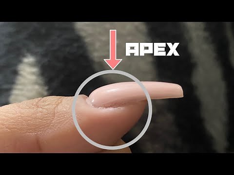 How to build an Apex for Beginners on Acrylic Nails