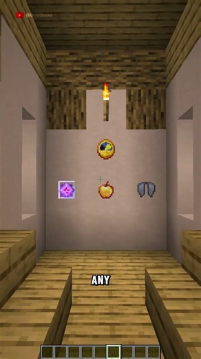 Invisible Item Frame?!