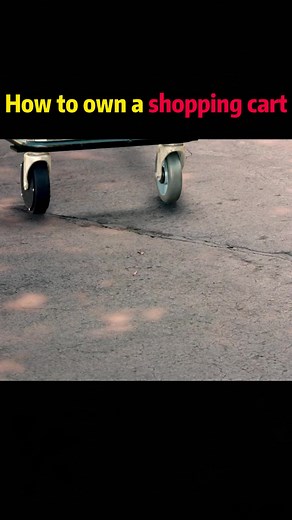 Understanding Shopping Cart Ownership and Maintenance