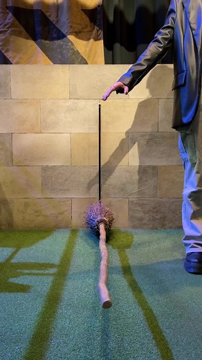 The place where magic comes to life. 🪄 #WBTourLondon #HarryPotterTikTok #Magic