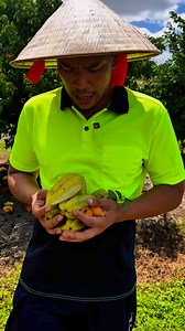 111K views · 3.1K reactions | How to Make StarFruit Chips  #fruit #eating #farm #tree #TropicalVibes | HoeyFarmer | Facebook