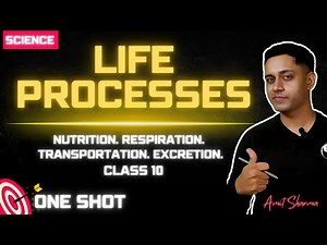 Life Processes class 10 | Full chapter in one shot | Explained in One Hour