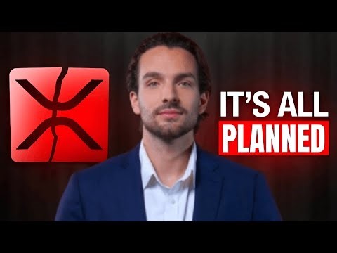 Someone Just Bought 120 Million XRP During the Crash... In One Hour!