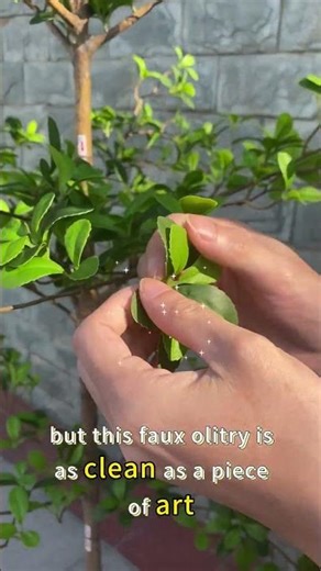 🌿 Artificial Terminalia catappa Tree – Natural Beauty, Eternally Blooming! 🌳✨