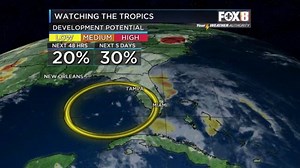 16 reactions · 4 comments | Chief Meteorologist David Bernard: Weak low pressure in the Gulf of Mexico will drift toward the Florida Panhandle over the next day or so. There's a low chance that it develops into a storm. Regardless, Florida will stay wet. We are on the dry side of the storm and will continue very hot with only stray storms. Keep an eye on your FOX 8 Weather App in case there are any changes with the Gulf. | David Bernard | Facebook