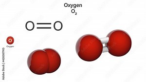 Oxygen is a chemical element with symbol O and atomic number 8. Chemical structure model: Ball and Stick + Space-Filling. 3D render. Seamless loop. Isolated on white background.
