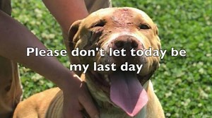 20K views · 643 reactions | THANK YOU TO EVERYONE WHO MADE SAVING...