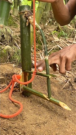 Creative ideas, unique bamboo trap setting techniques #survival