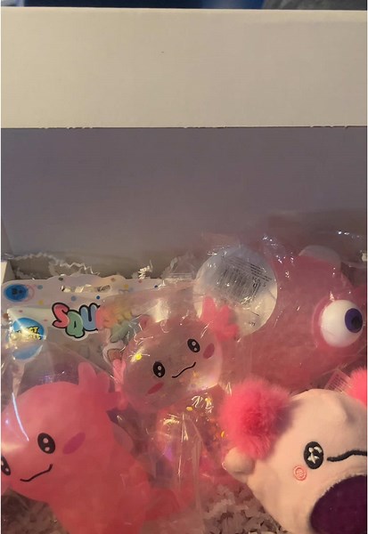 Fidget and Fizz on TikTok