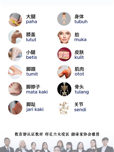 第36集：印尼语常用单词汇总训练36-身体部位 Episode 36: Kata-kata populer Latihan 36 – Anggota Tubuh #艾孚语言中心\t#印尼语教学\t#印尼语入门\t#印尼语 #belajarmandarin