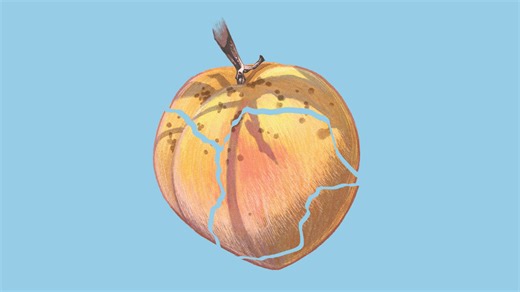 Meet the peach that traveled the Trail of Tears and the elders working to save it