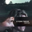 Eyewitness (2016) Cast and Crew, Trivia, Quotes, Photos, News and Videos - FamousFix