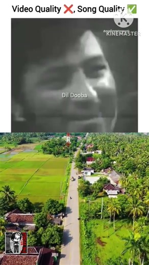 What Makes PERFECT Video Quality?