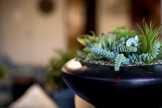 Mental Health in Rochester, NY | Outpatient Clinic | Villa of Hope