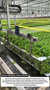Ultimate Hydroponic Lettuce Harvester – Smart Farming at Its Finest! 🌱🤖
