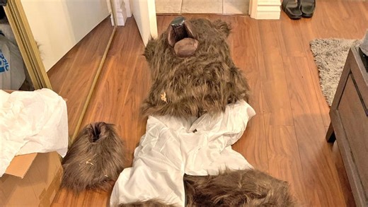Insurers say bear that damaged luxury cars was actually a person in a costume