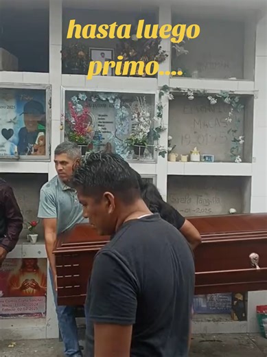 Videos de Gerrard (@gerrardshi) con “sonido original - musicalia”